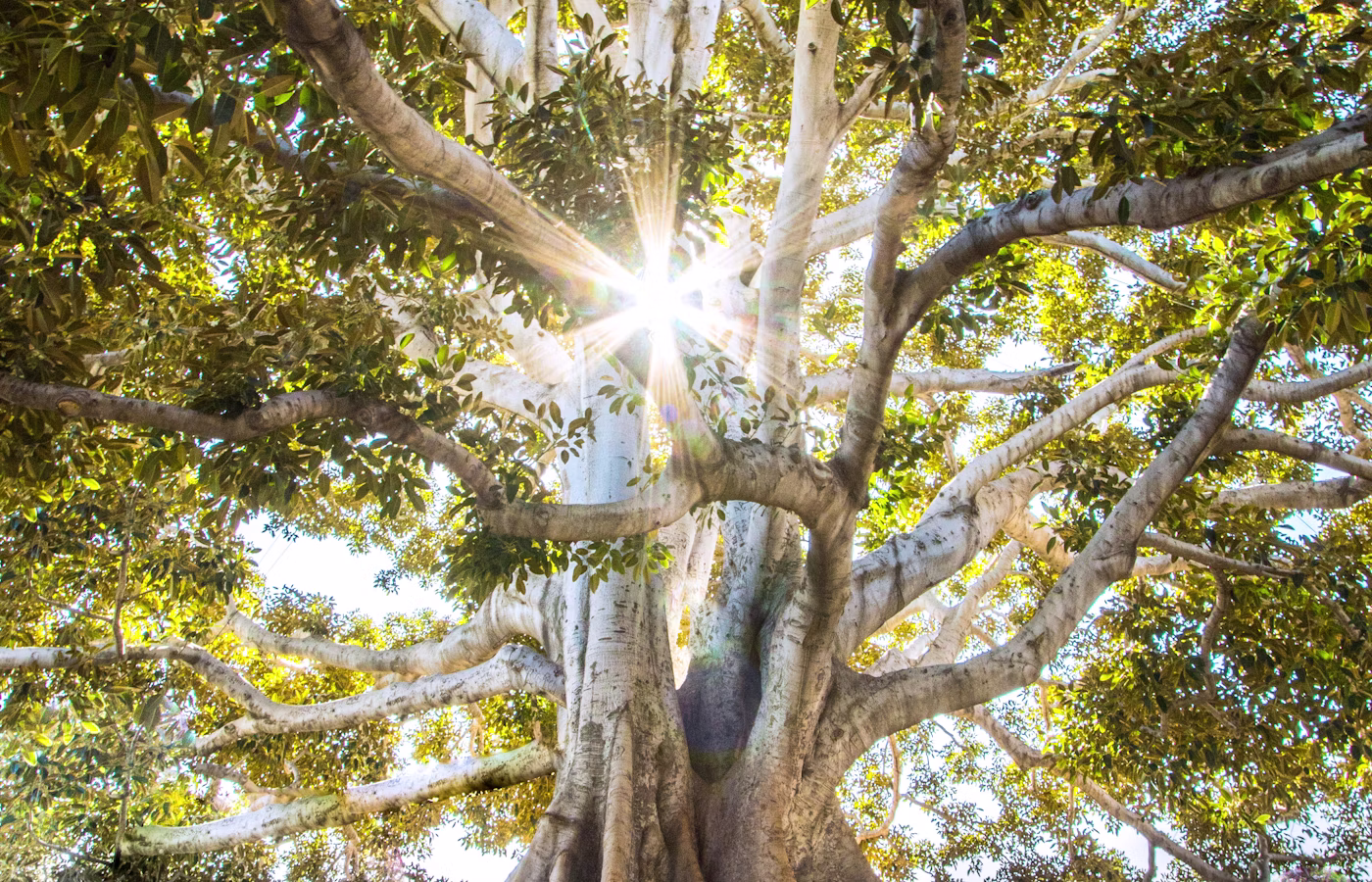 Самоподдержка для предпринимателя